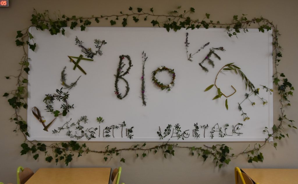 Le tableau du lycée est orné de plantes qui dessinent des mots : local, bio, végé, assiette végétale